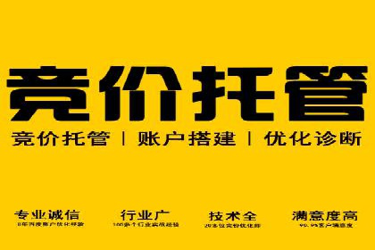 百度竞价推广运营策略解析与实战案例